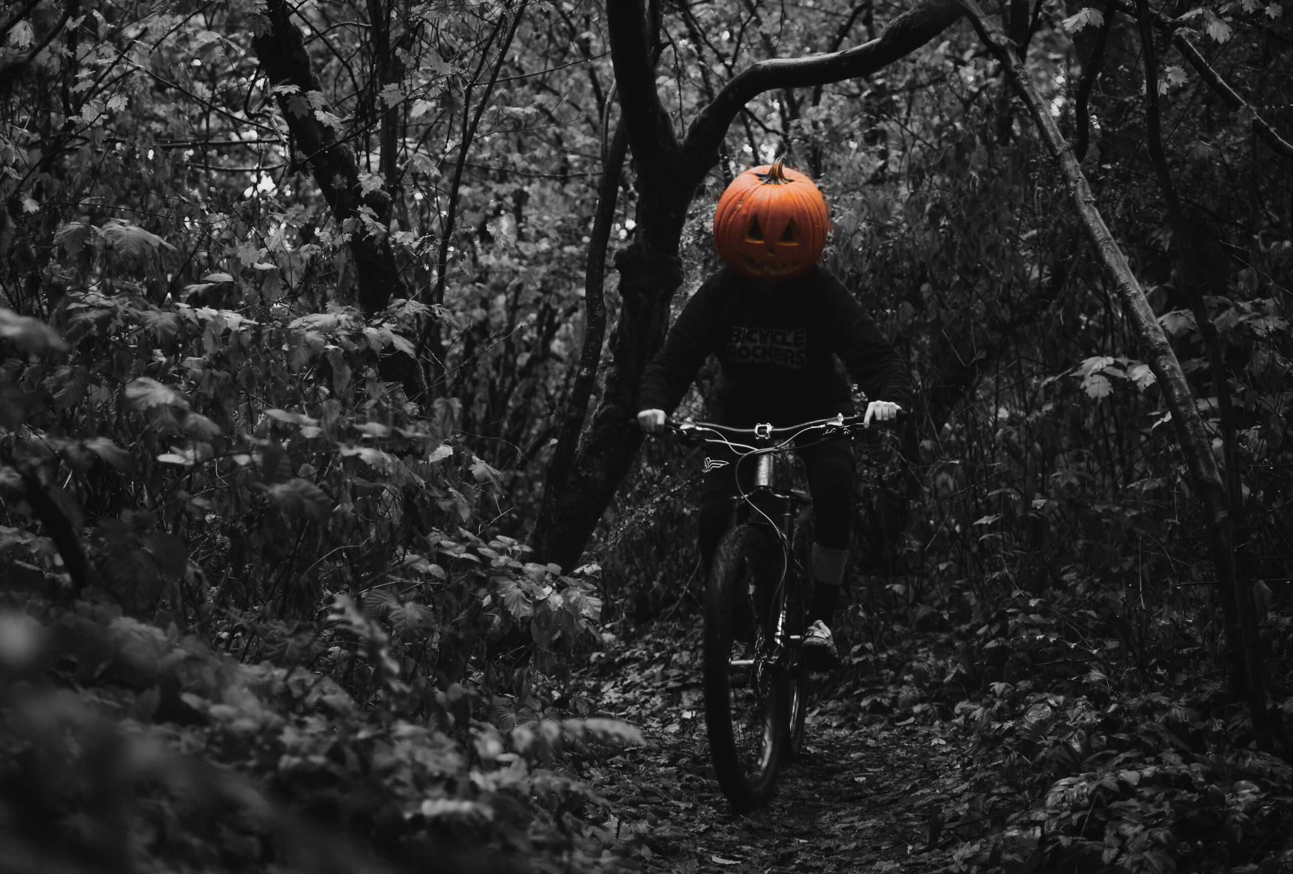 Read more about the article TORCA500 Halloween Enduro
